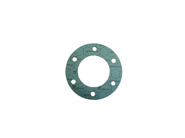 MTU Water Pump Gasket